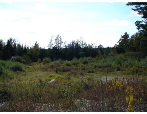 2100 Northfield Road Northfield, ME 04654 - Photo 7 of 8 Land/Lot.