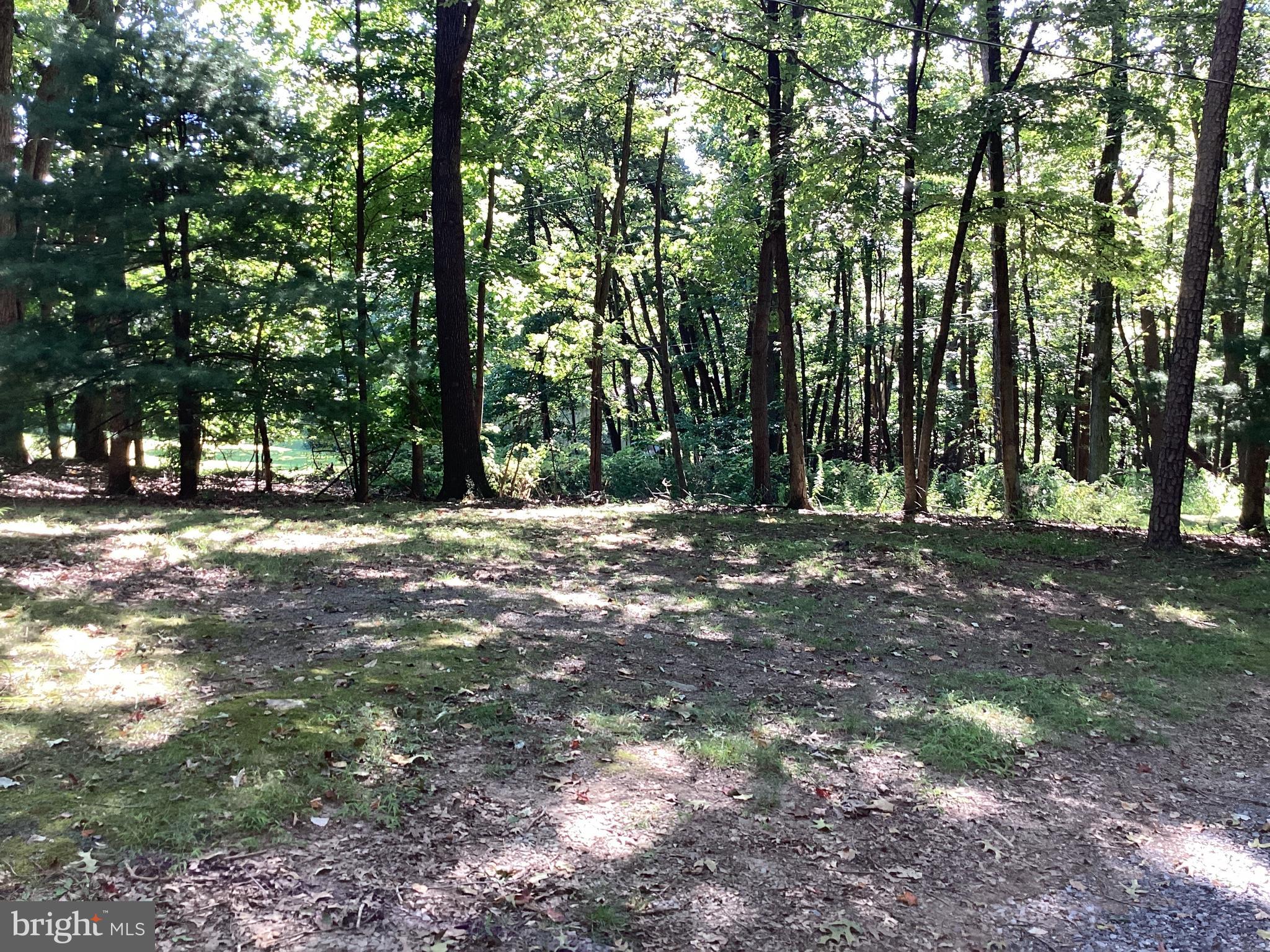 745 Germantown Road Blain, PA 17006 - Photo 7 of 12 a view of outdoor space with trees