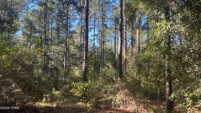 $49,900 | X Flowersview Boulevard, Unit 1819, Laurel Hill, FL 32567