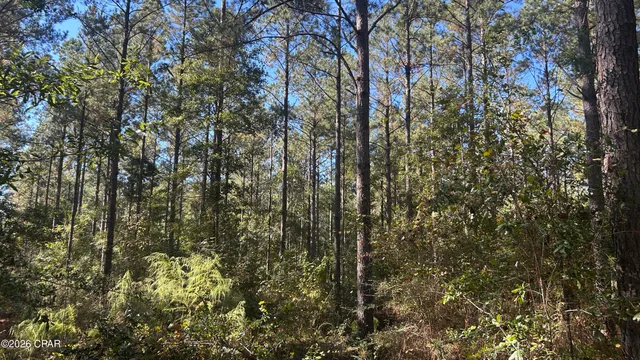 $49,900 | X Flowersview Boulevard, Unit 1819, Laurel Hill, FL 32567