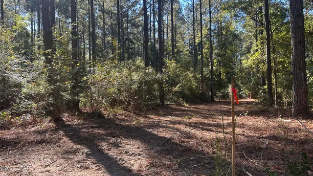 $49,900 | X Flowersview Boulevard, Unit 1819, Laurel Hill, FL 32567