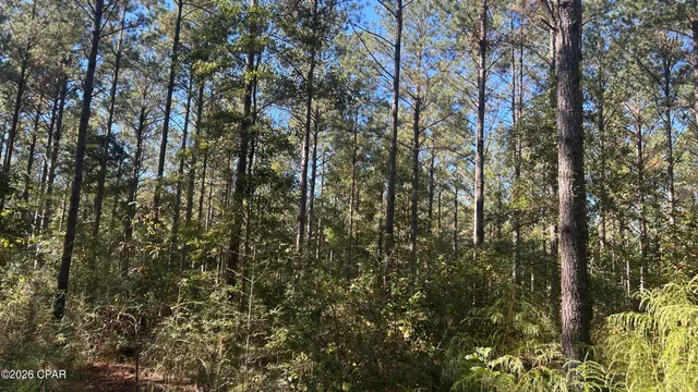 $49,900 | X Flowersview Boulevard, Unit 1819, Laurel Hill, FL 32567