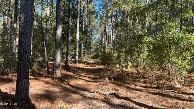 $49,900 | X Flowersview Boulevard, Unit 1819, Laurel Hill, FL 32567