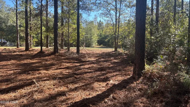 $49,900 | X Flowersview Boulevard, Unit 1819, Laurel Hill, FL 32567