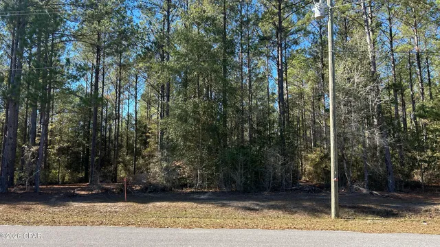 $49,900 | X Flowersview Boulevard, Unit 1819, Laurel Hill, FL 32567