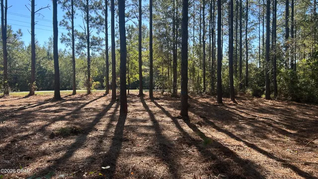 $49,900 | X Flowersview Boulevard, Unit 1819, Laurel Hill, FL 32567