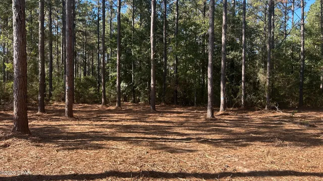 $49,900 | X Flowersview Boulevard, Unit 1819, Laurel Hill, FL 32567