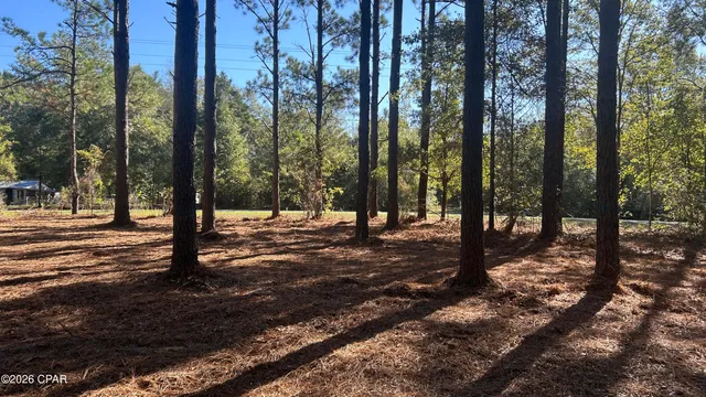 $49,900 | X Flowersview Boulevard, Unit 1819, Laurel Hill, FL 32567