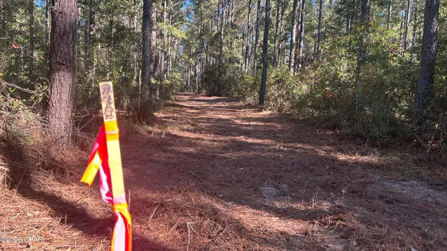 $49,900 | X Flowersview Boulevard, Unit 1819, Laurel Hill, FL 32567