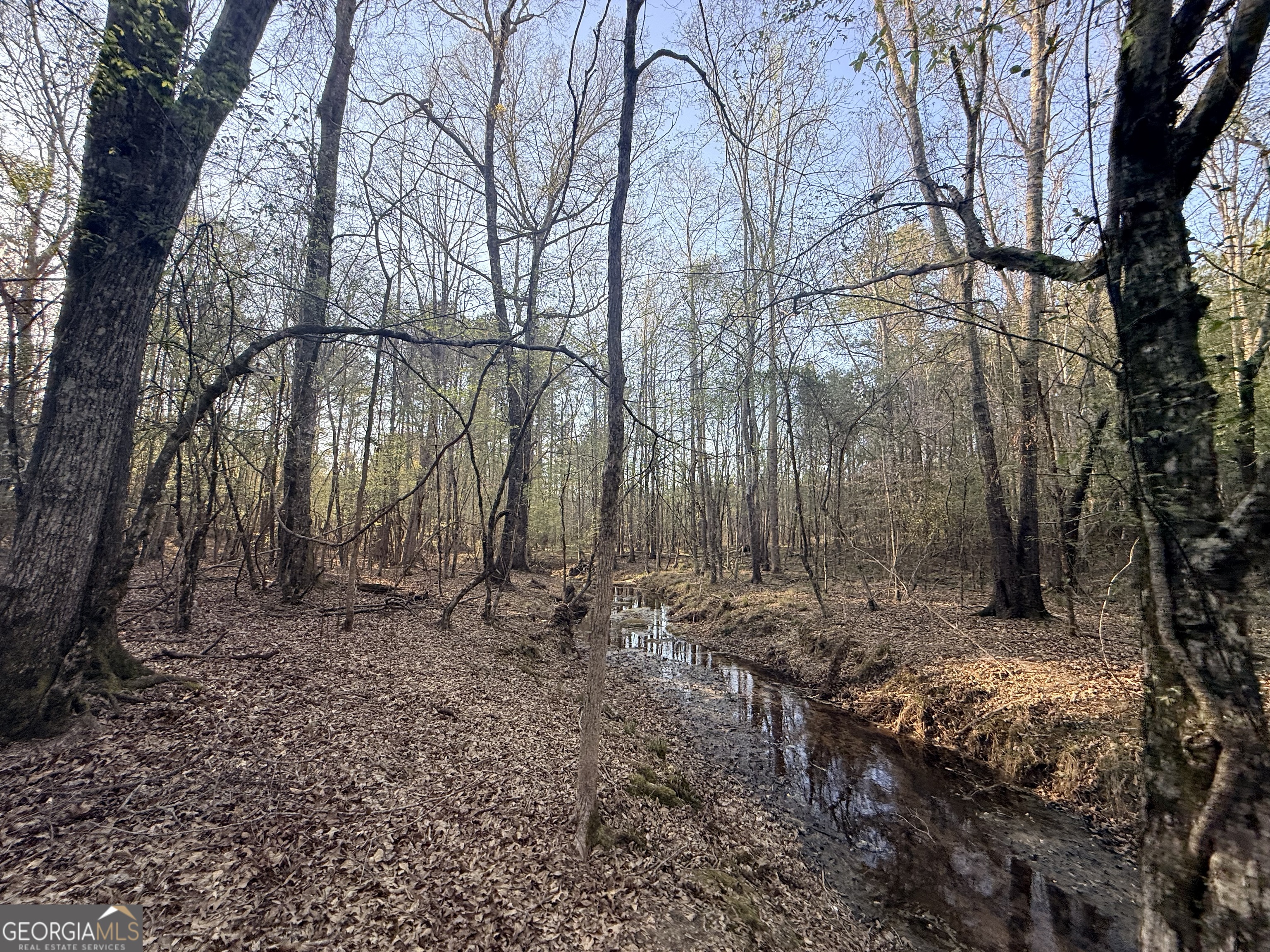 8 Hollis Norman Road Tignall, GA 30668 - Photo 1 of 36