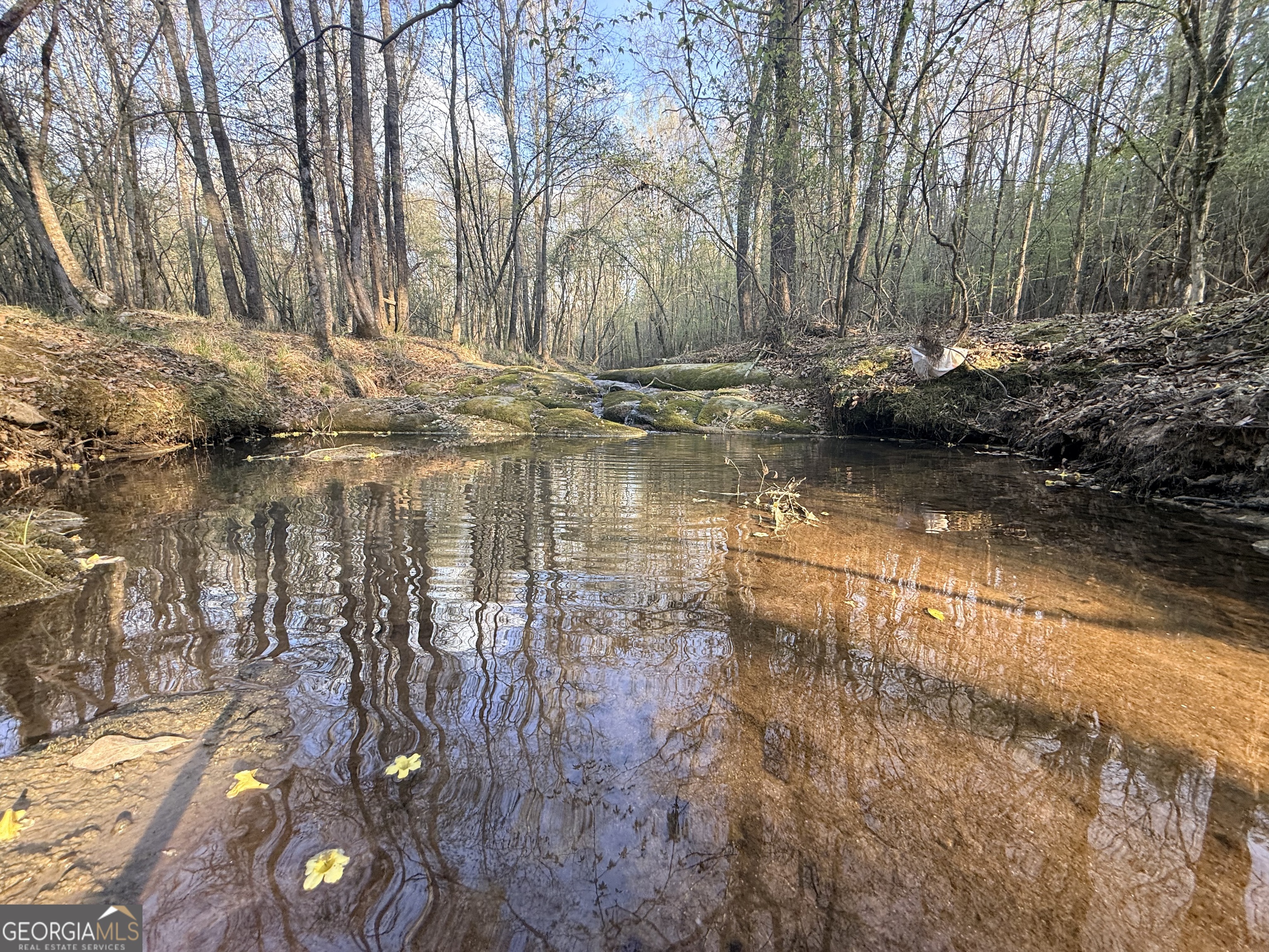 8 Hollis Norman Road Tignall, GA 30668 - Photo 11 of 36