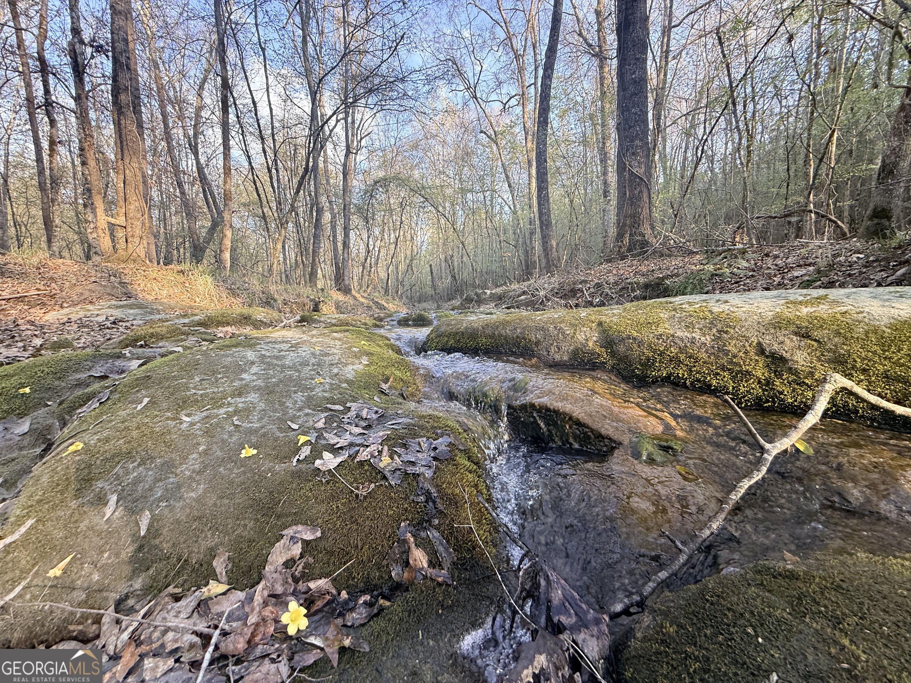 8 Hollis Norman Road Tignall, GA 30668 - Photo 12 of 36