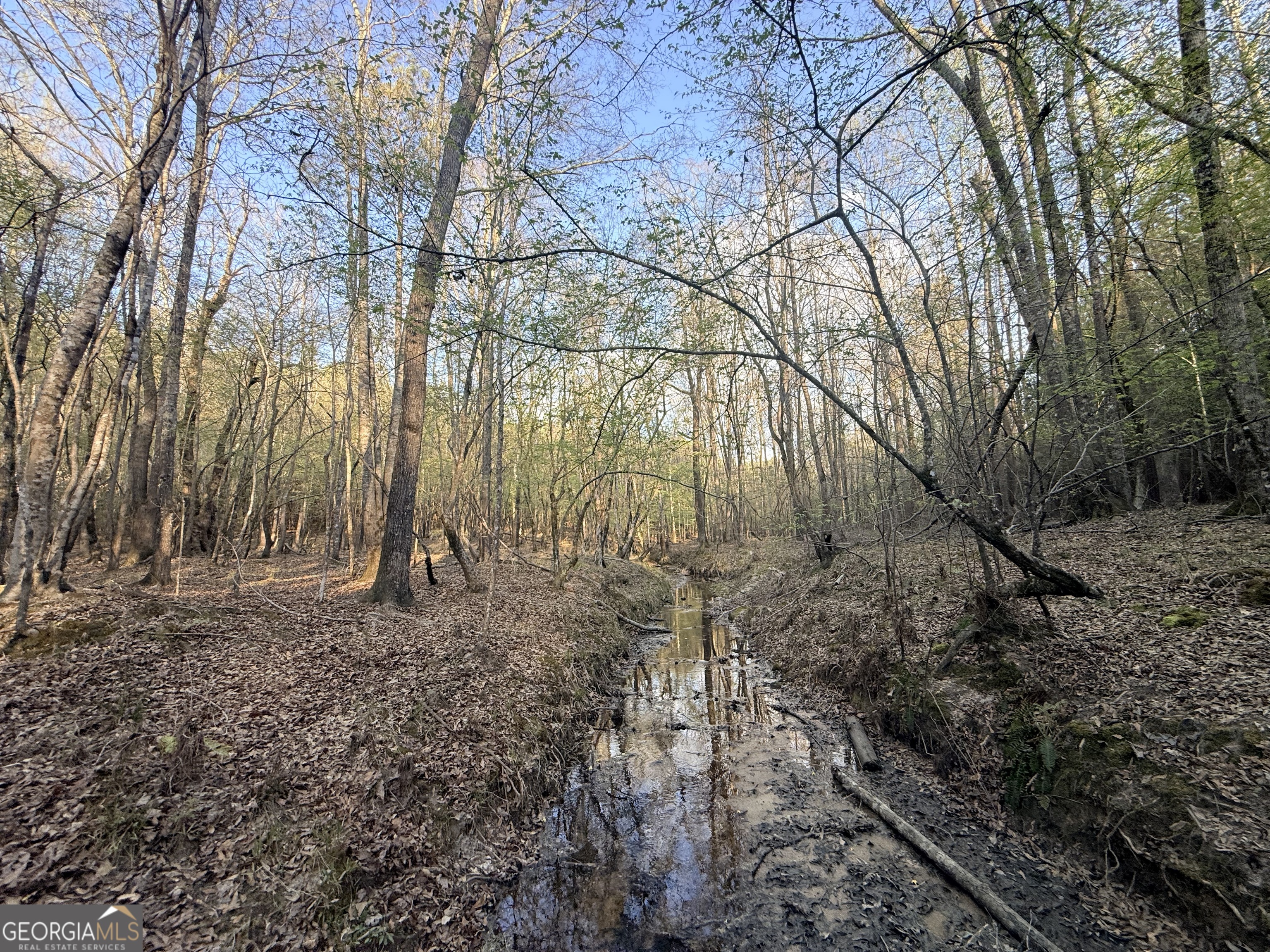 8 Hollis Norman Road Tignall, GA 30668 - Photo 13 of 36