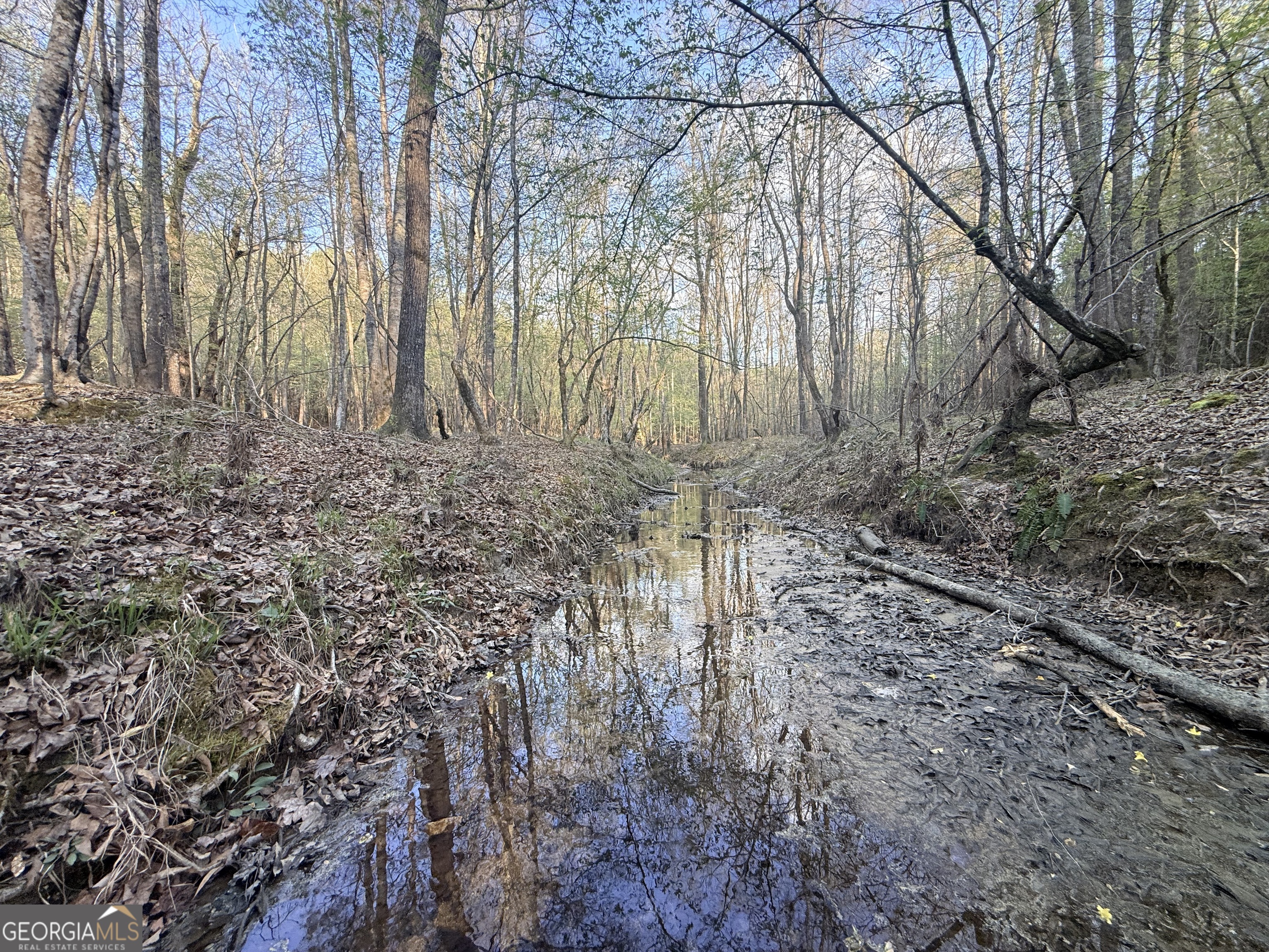 8 Hollis Norman Road Tignall, GA 30668 - Photo 14 of 36