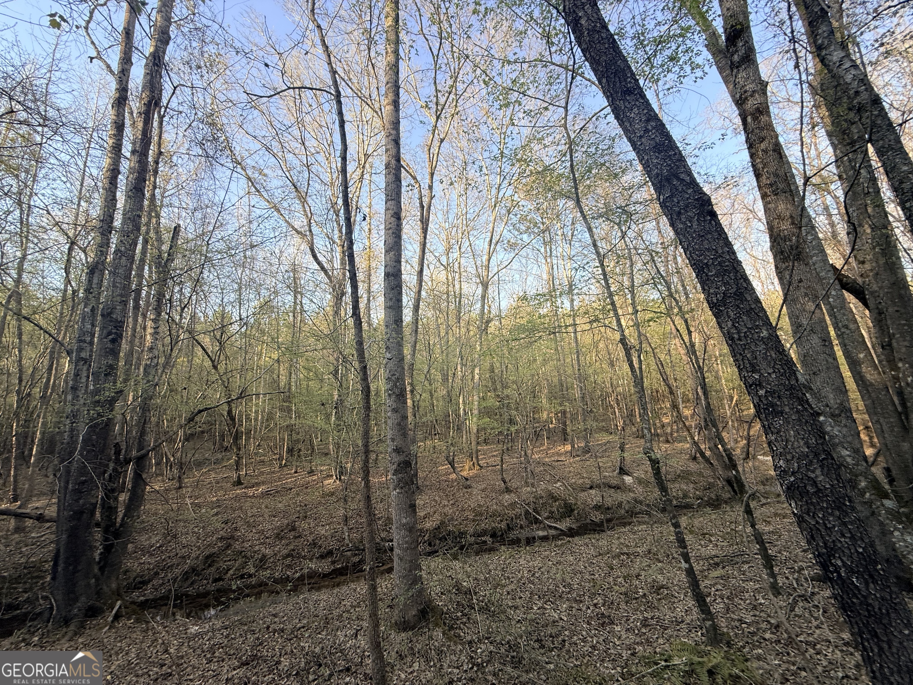 8 Hollis Norman Road Tignall, GA 30668 - Photo 15 of 36