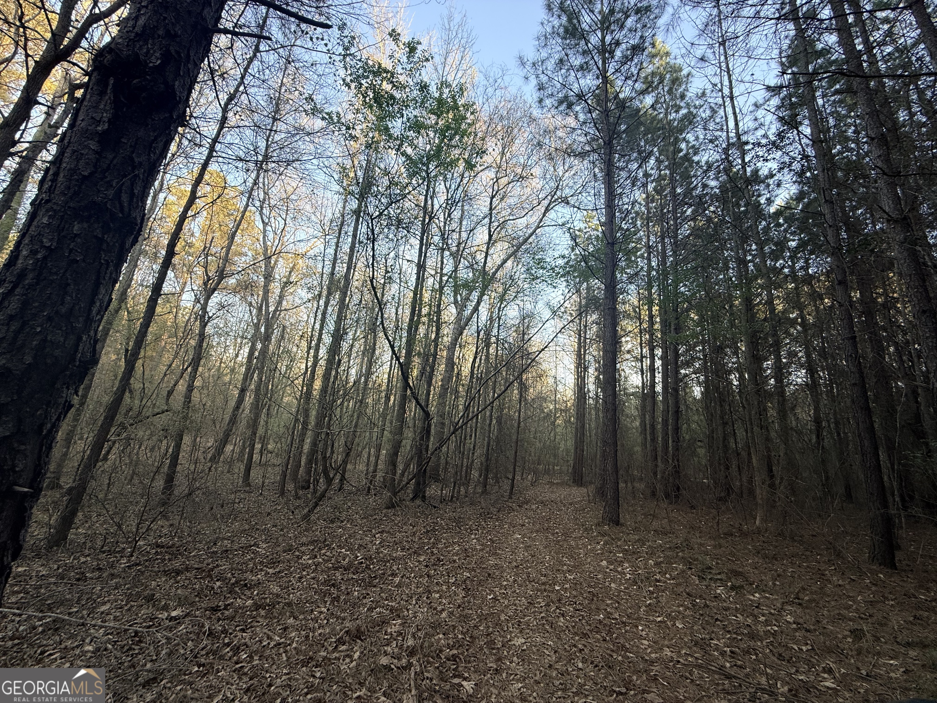 8 Hollis Norman Road Tignall, GA 30668 - Photo 16 of 36