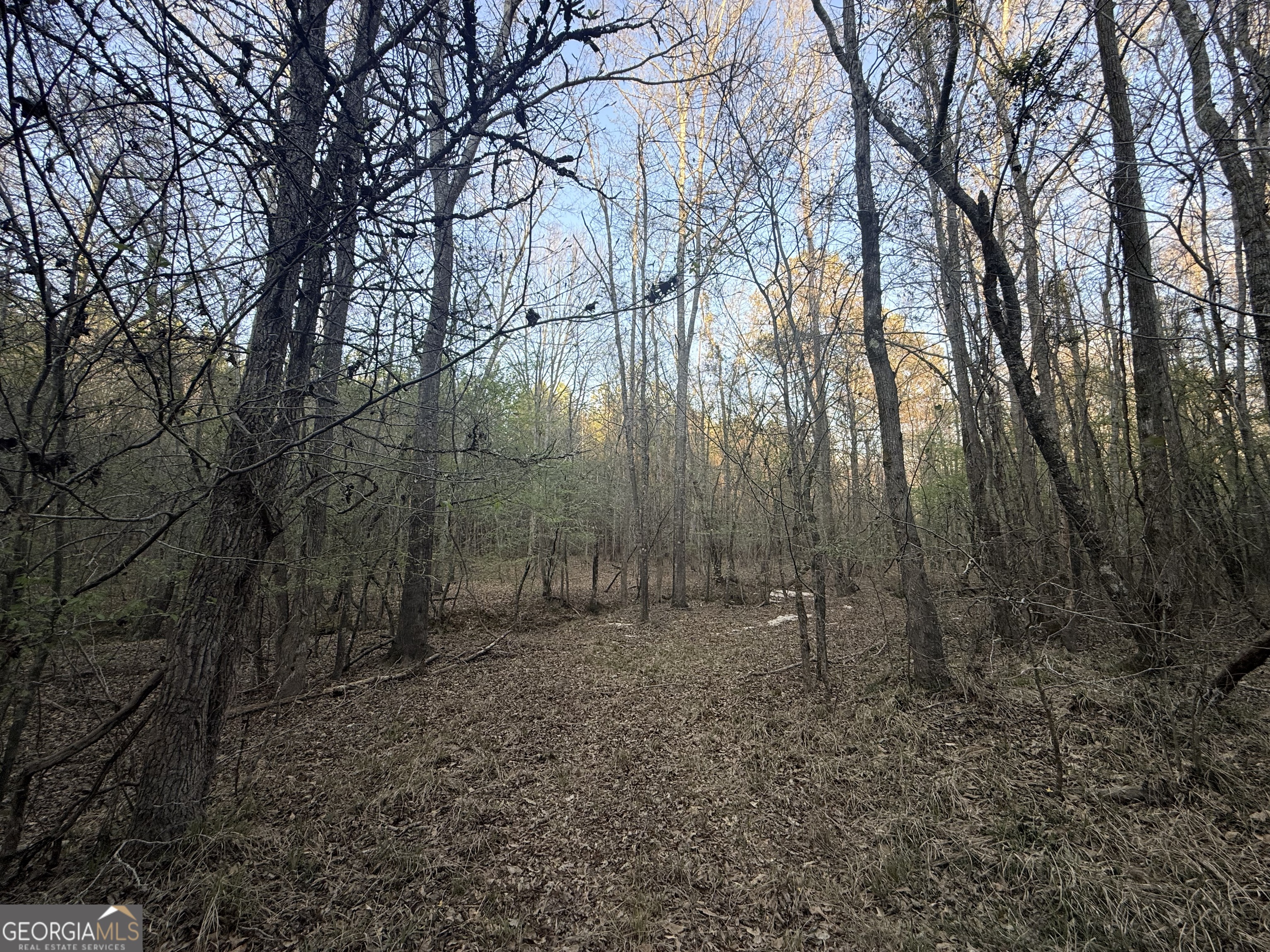 8 Hollis Norman Road Tignall, GA 30668 - Photo 17 of 36