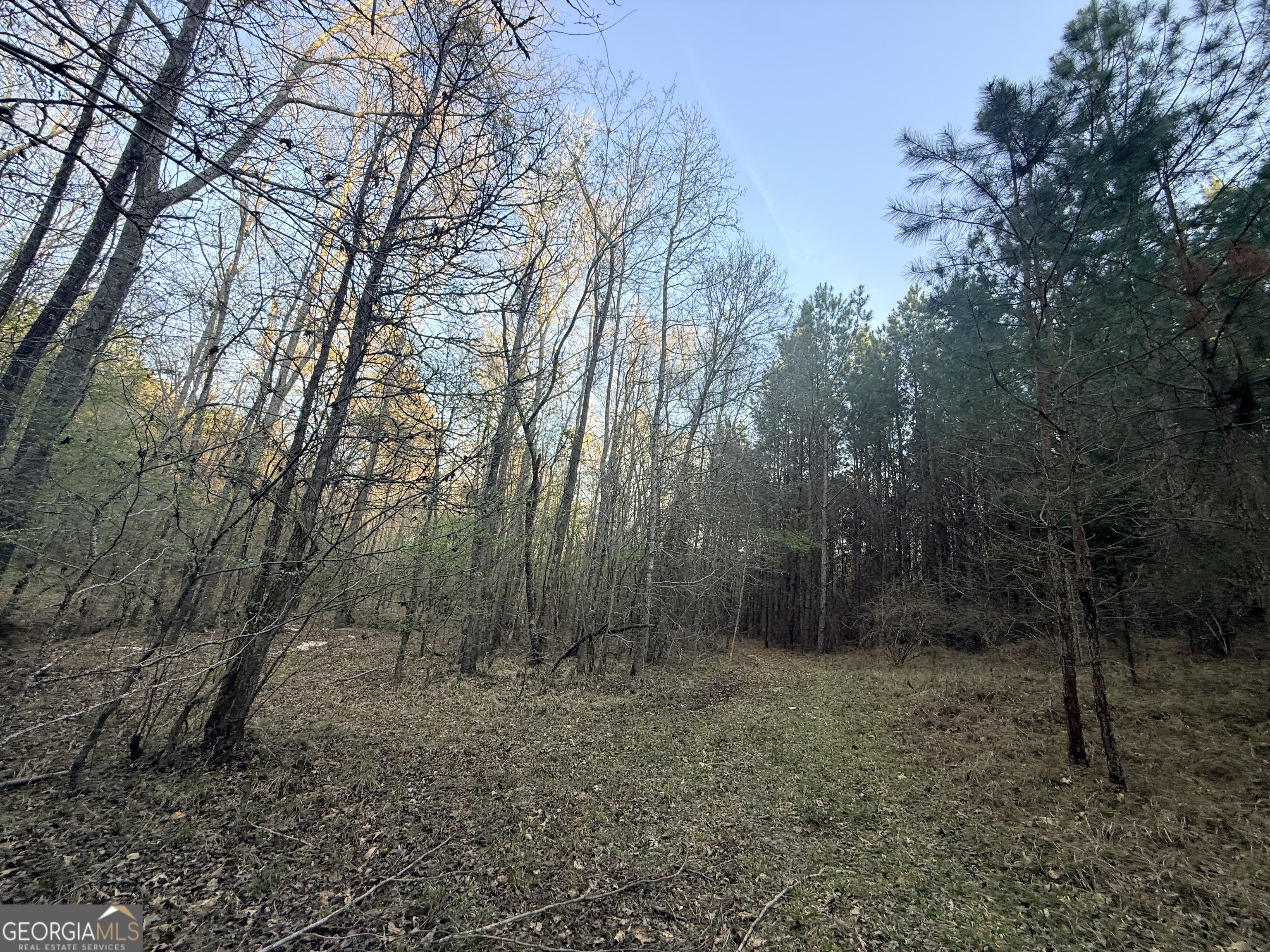 8 Hollis Norman Road Tignall, GA 30668 - Photo 18 of 36