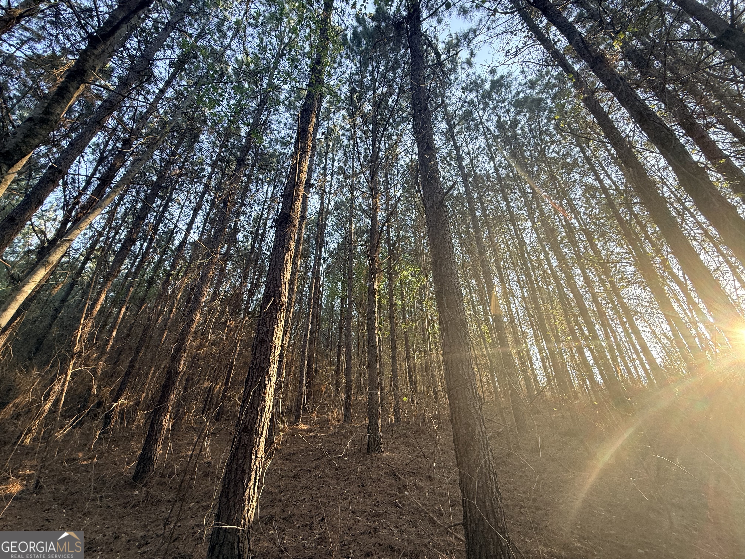 8 Hollis Norman Road Tignall, GA 30668 - Photo 19 of 36