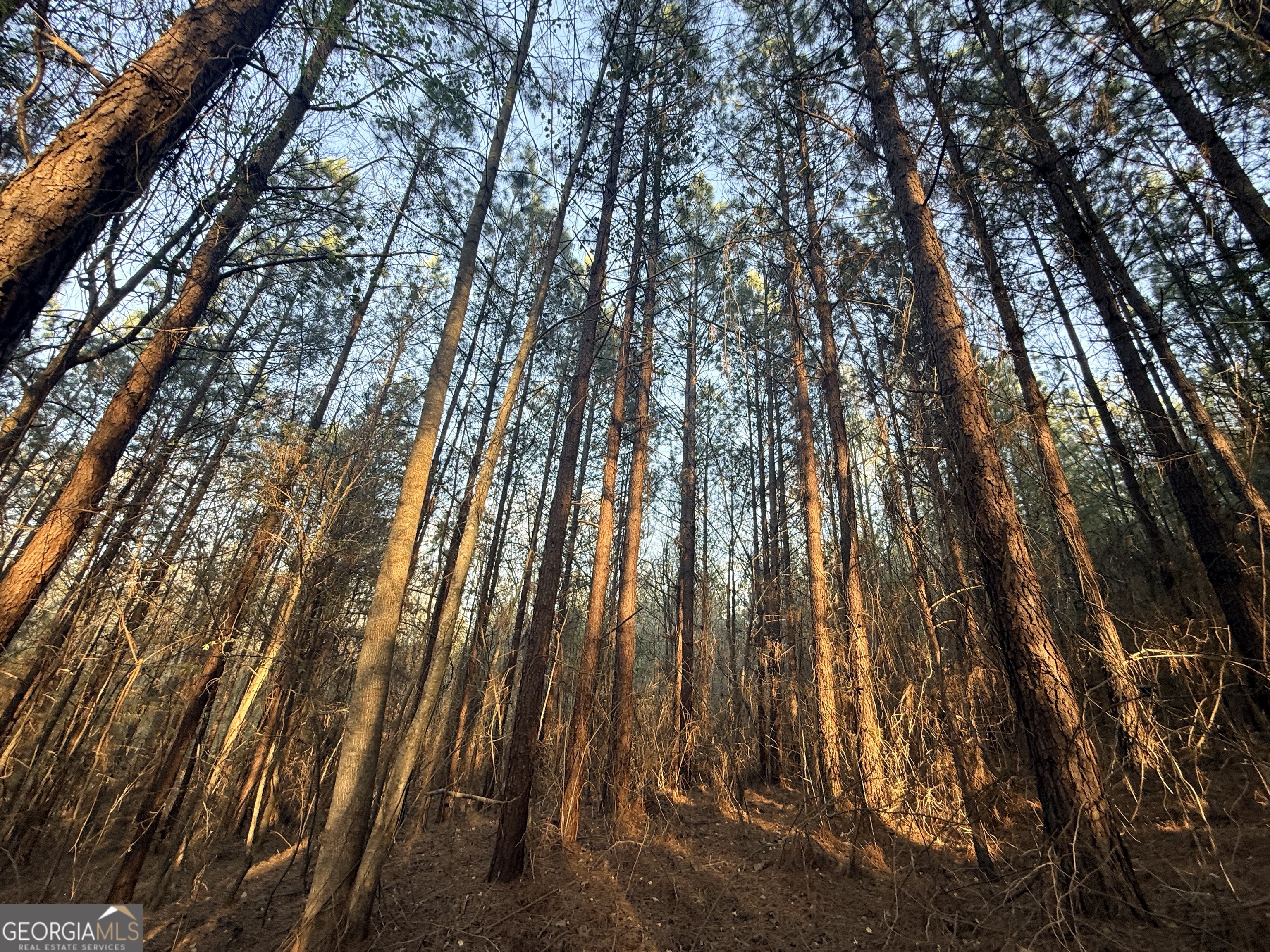 8 Hollis Norman Road Tignall, GA 30668 - Photo 20 of 36