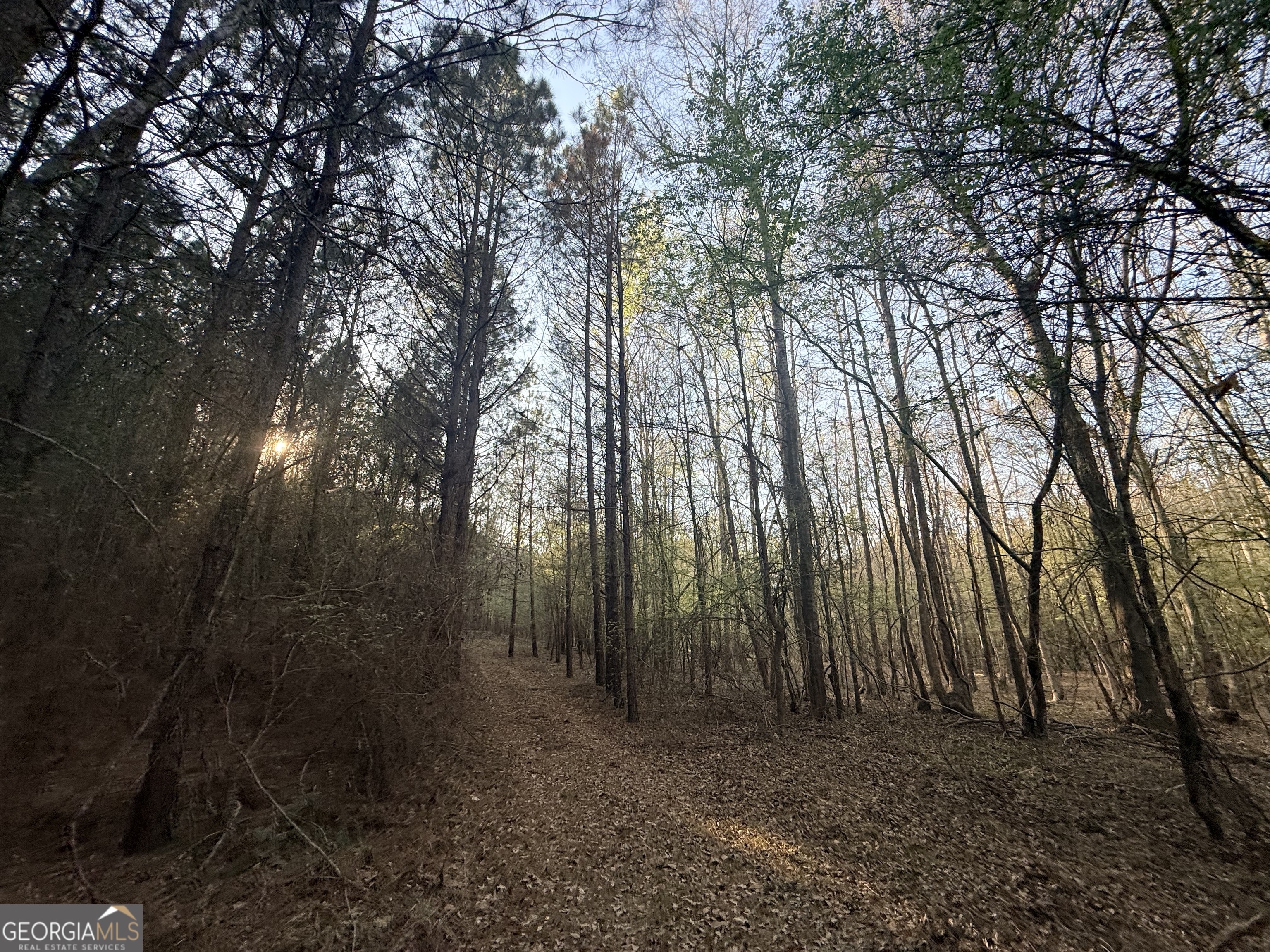 8 Hollis Norman Road Tignall, GA 30668 - Photo 2 of 36