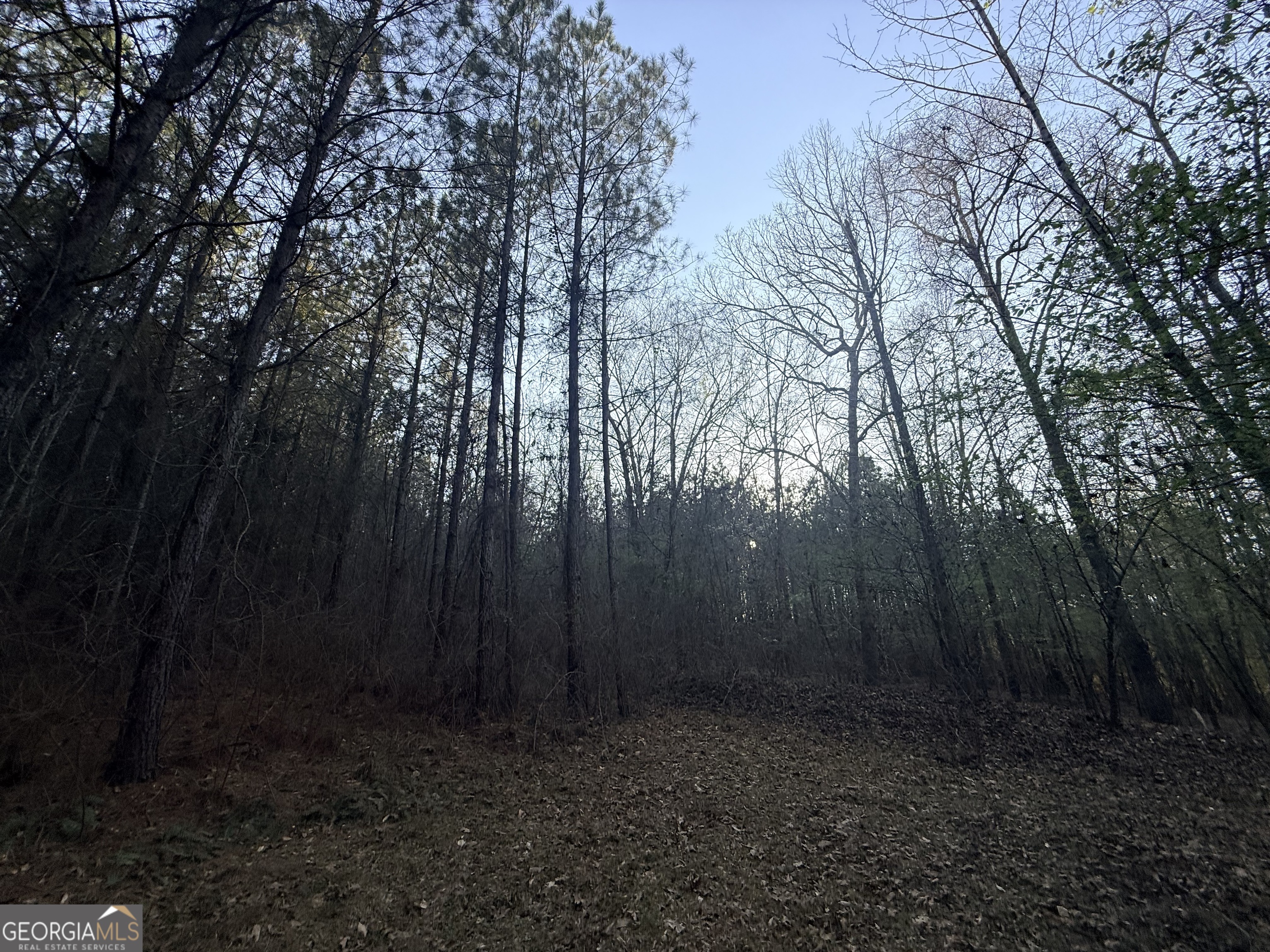 8 Hollis Norman Road Tignall, GA 30668 - Photo 21 of 36