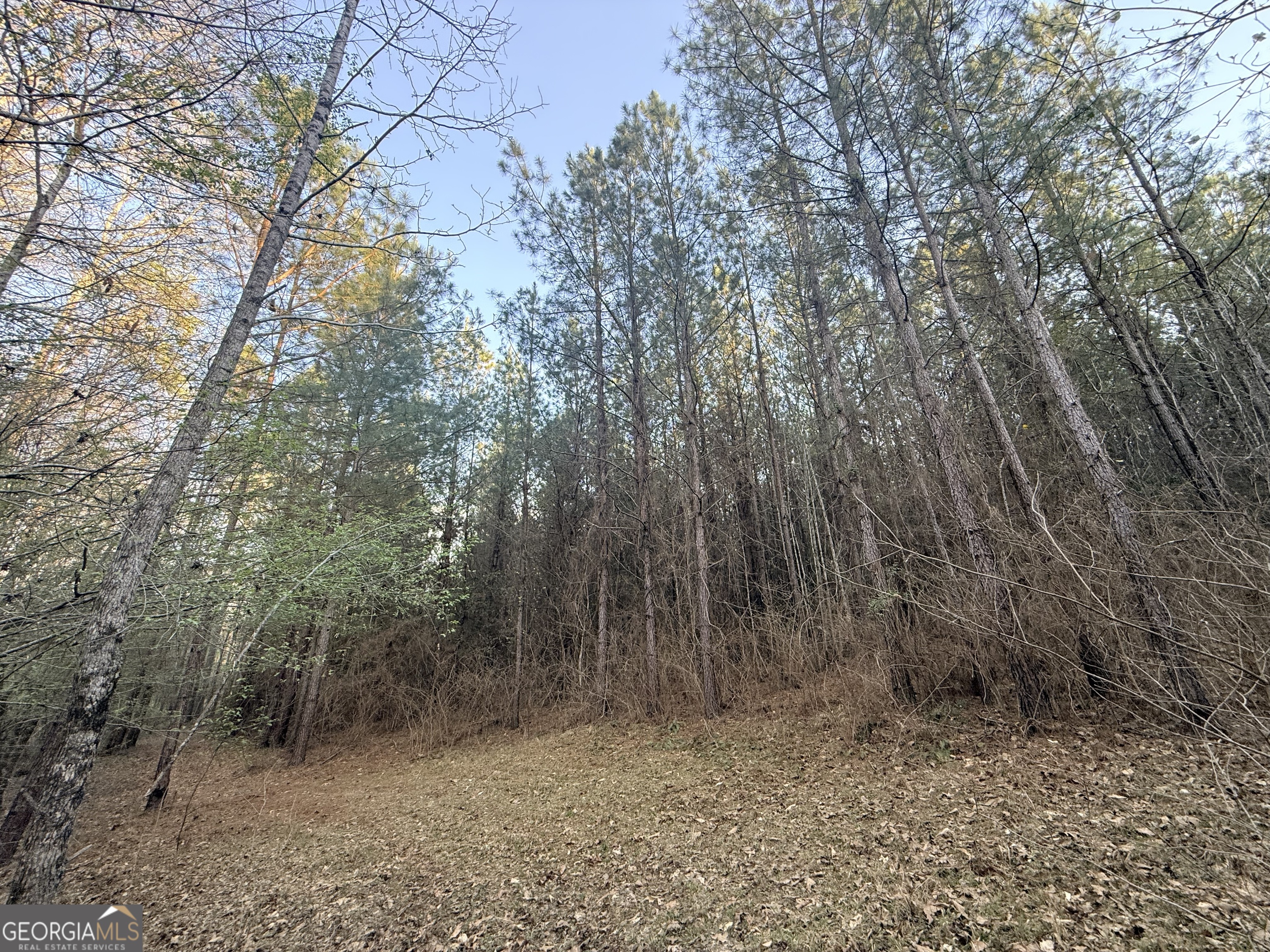 8 Hollis Norman Road Tignall, GA 30668 - Photo 22 of 36