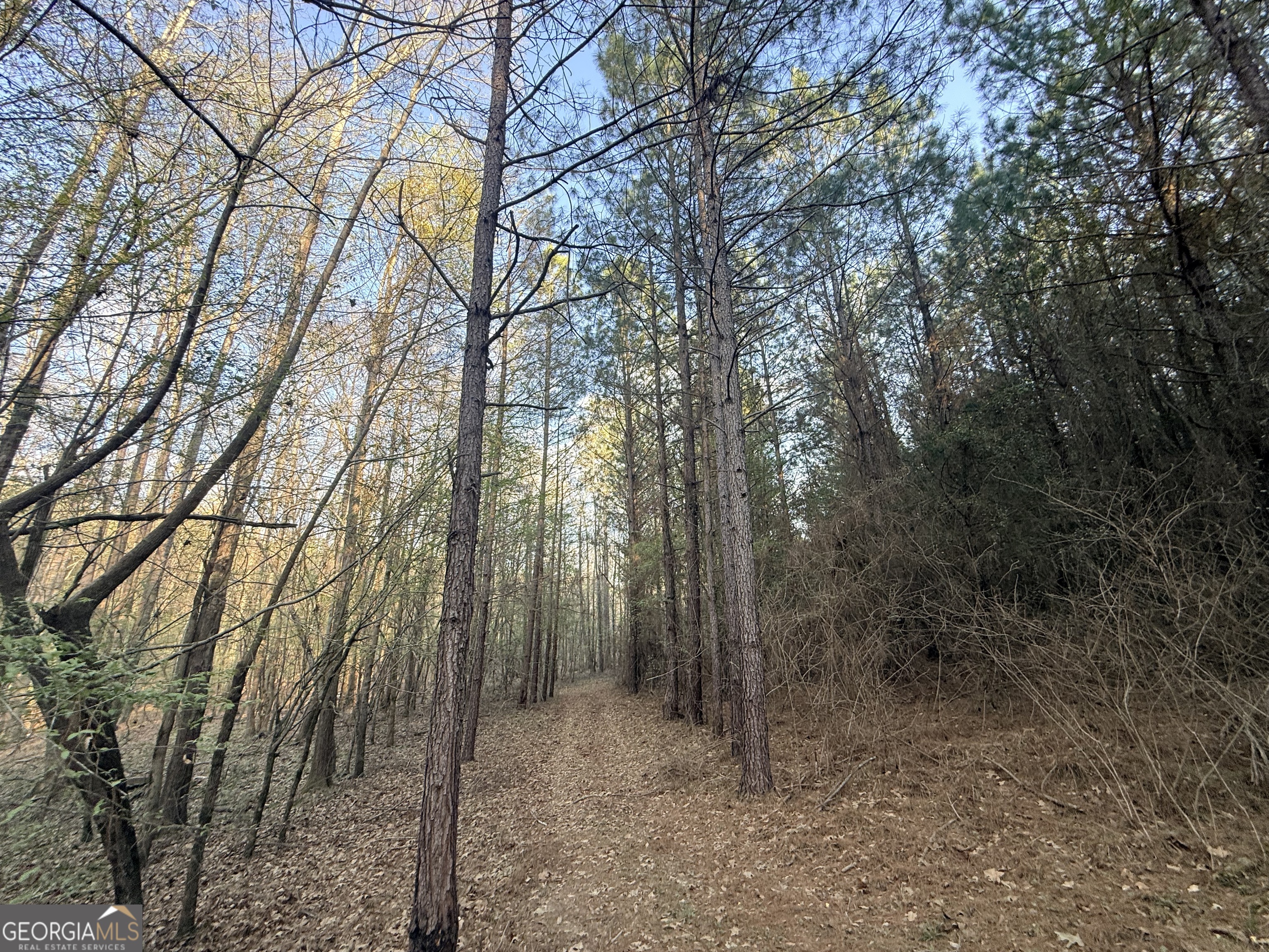 8 Hollis Norman Road Tignall, GA 30668 - Photo 23 of 36