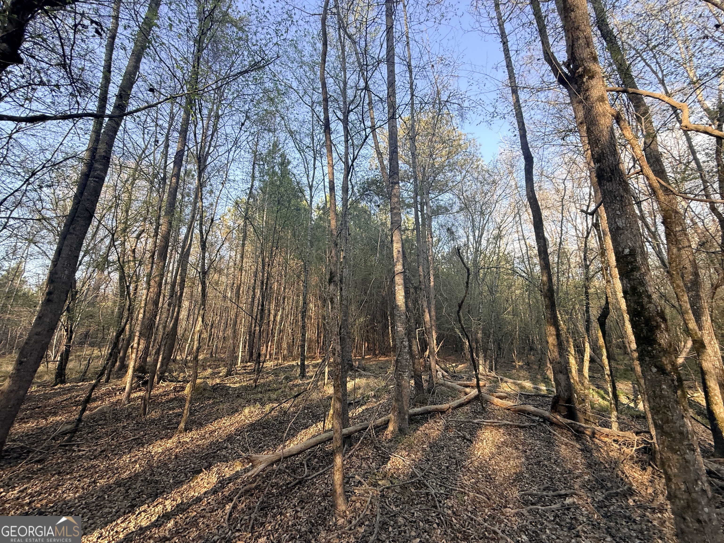 8 Hollis Norman Road Tignall, GA 30668 - Photo 24 of 36