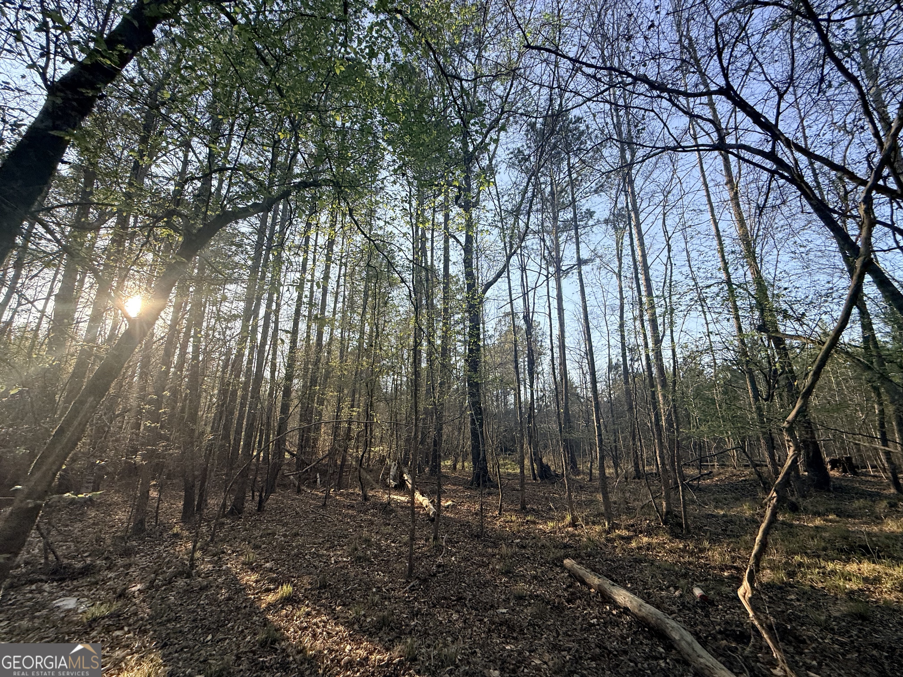 8 Hollis Norman Road Tignall, GA 30668 - Photo 25 of 36