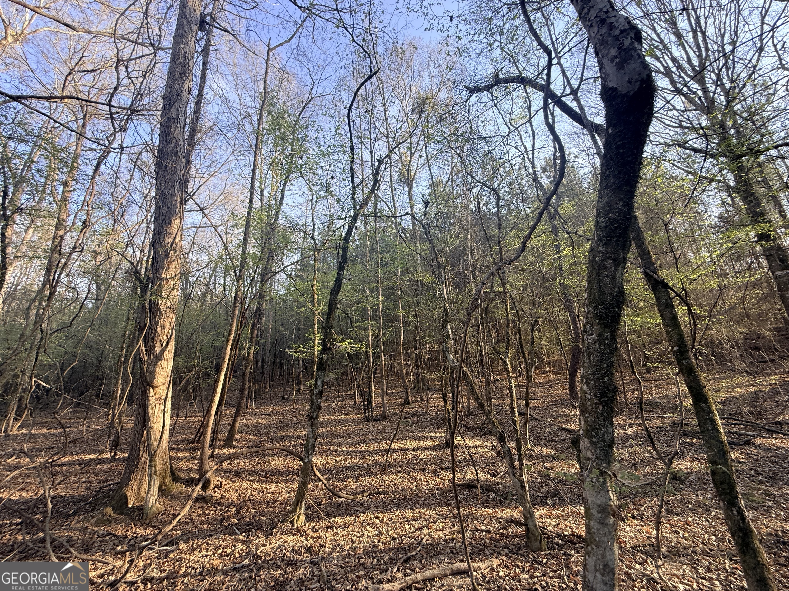 8 Hollis Norman Road Tignall, GA 30668 - Photo 26 of 36