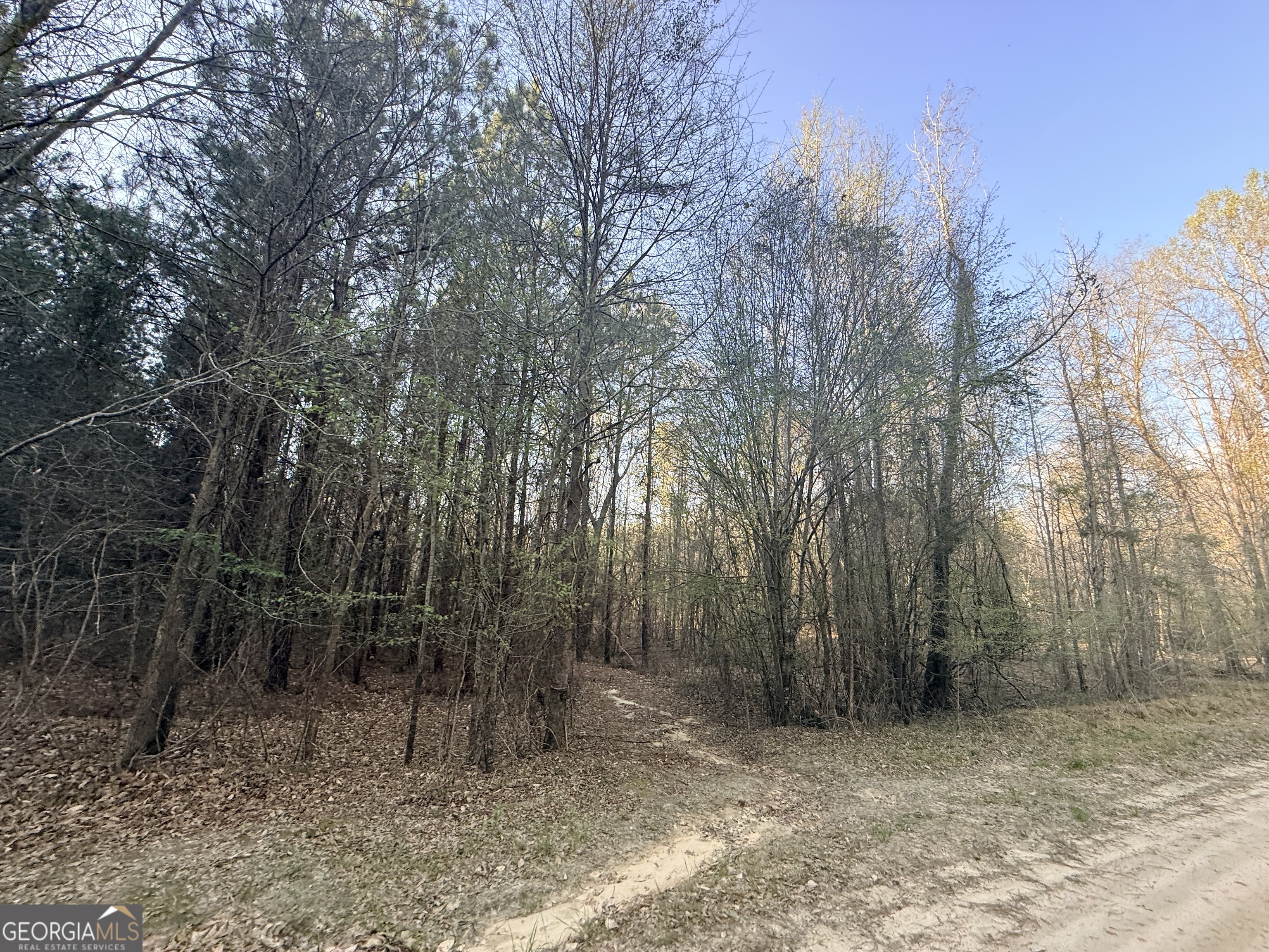 8 Hollis Norman Road Tignall, GA 30668 - Photo 28 of 36