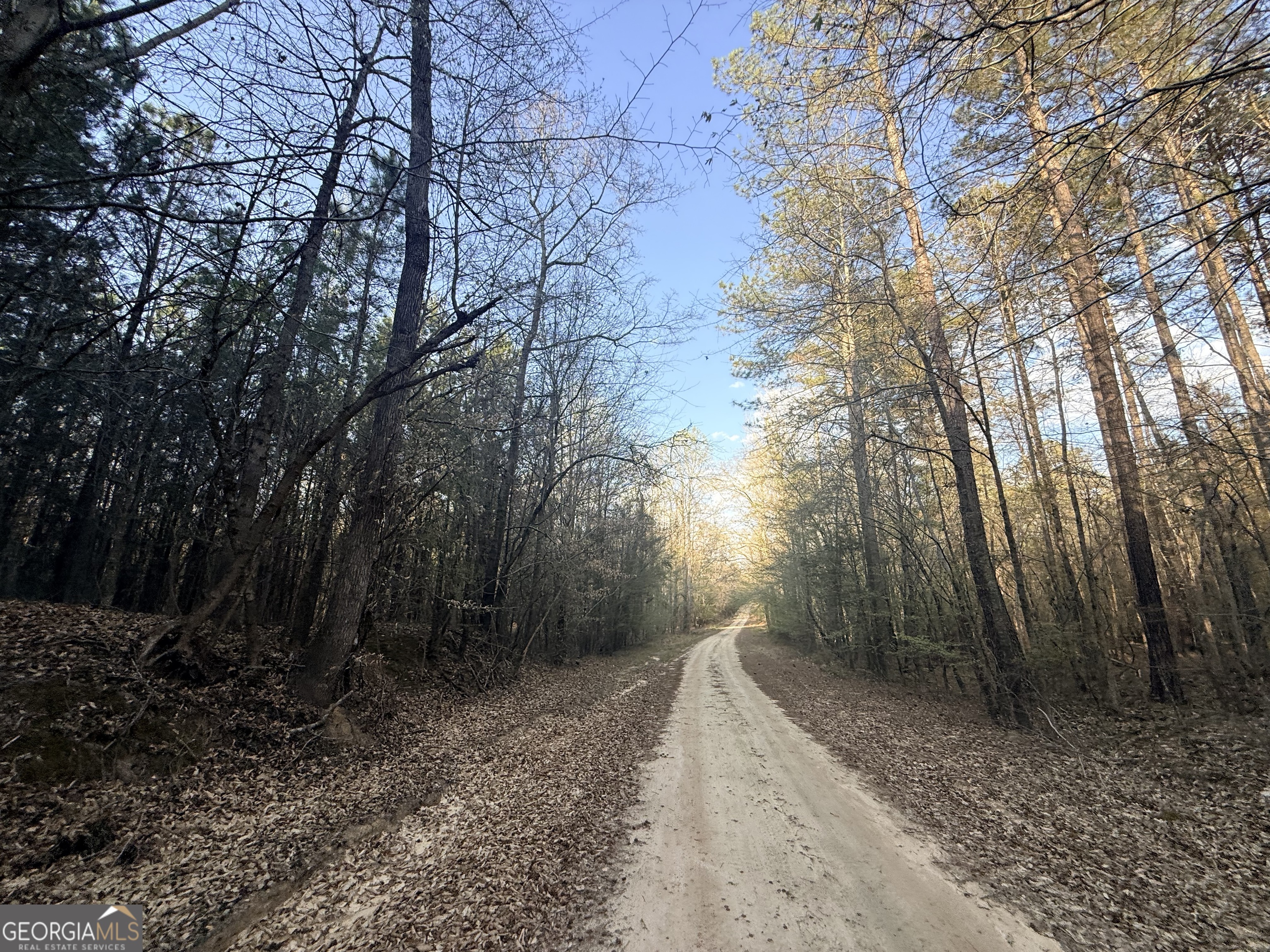 8 Hollis Norman Road Tignall, GA 30668 - Photo 29 of 36