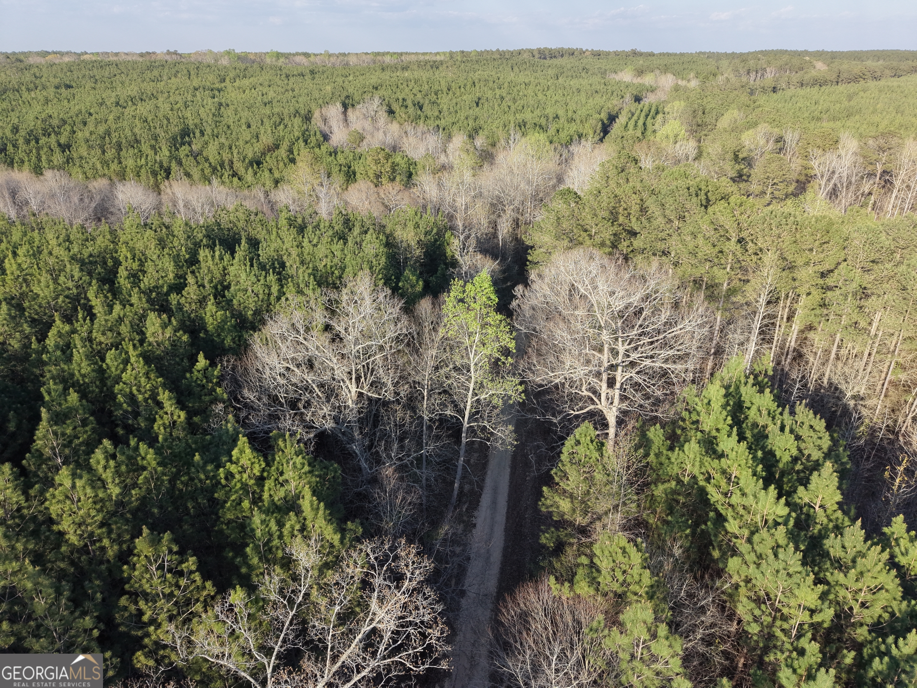 8 Hollis Norman Road Tignall, GA 30668 - Photo 30 of 36