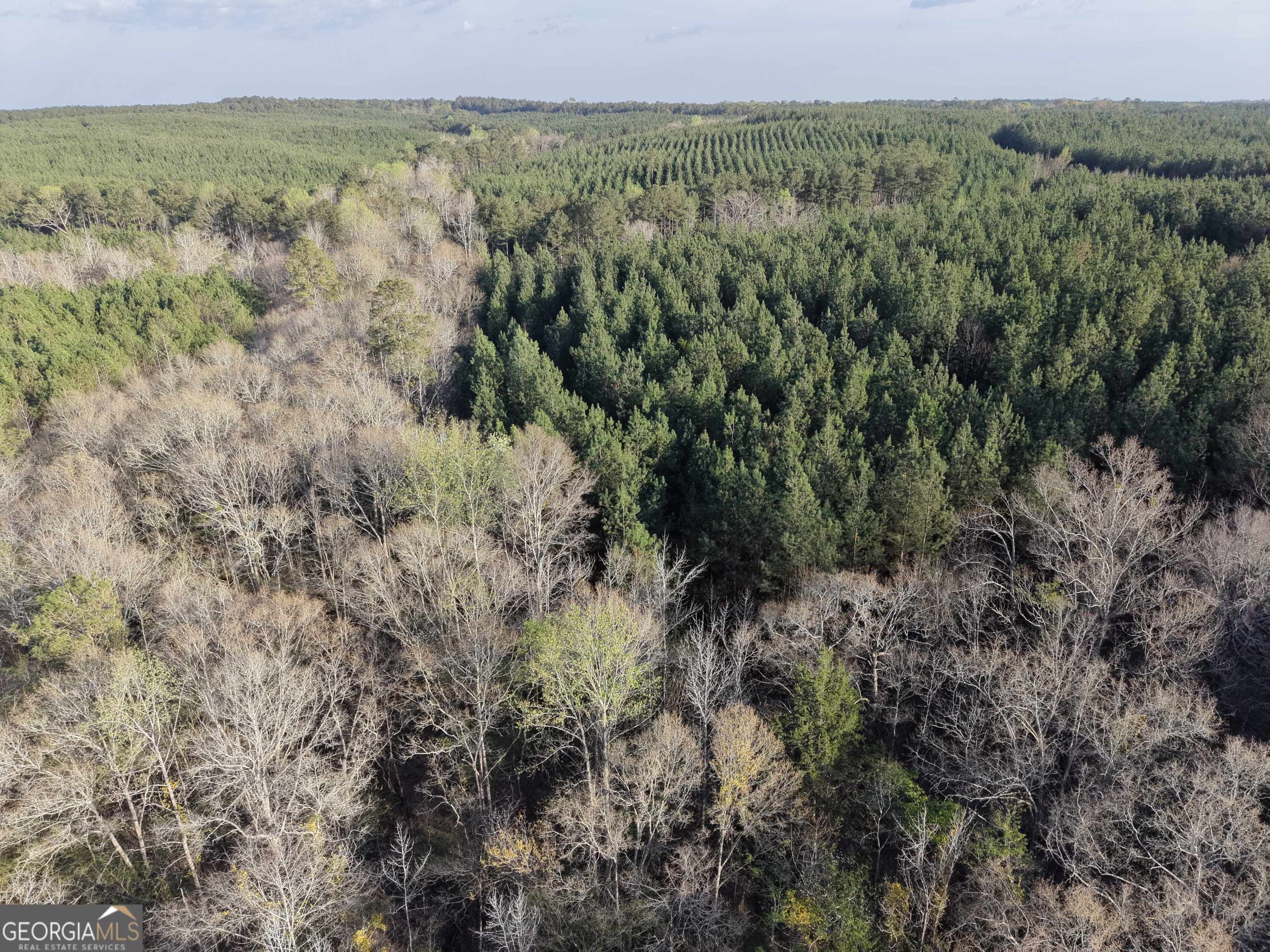 8 Hollis Norman Road Tignall, GA 30668 - Photo 31 of 36