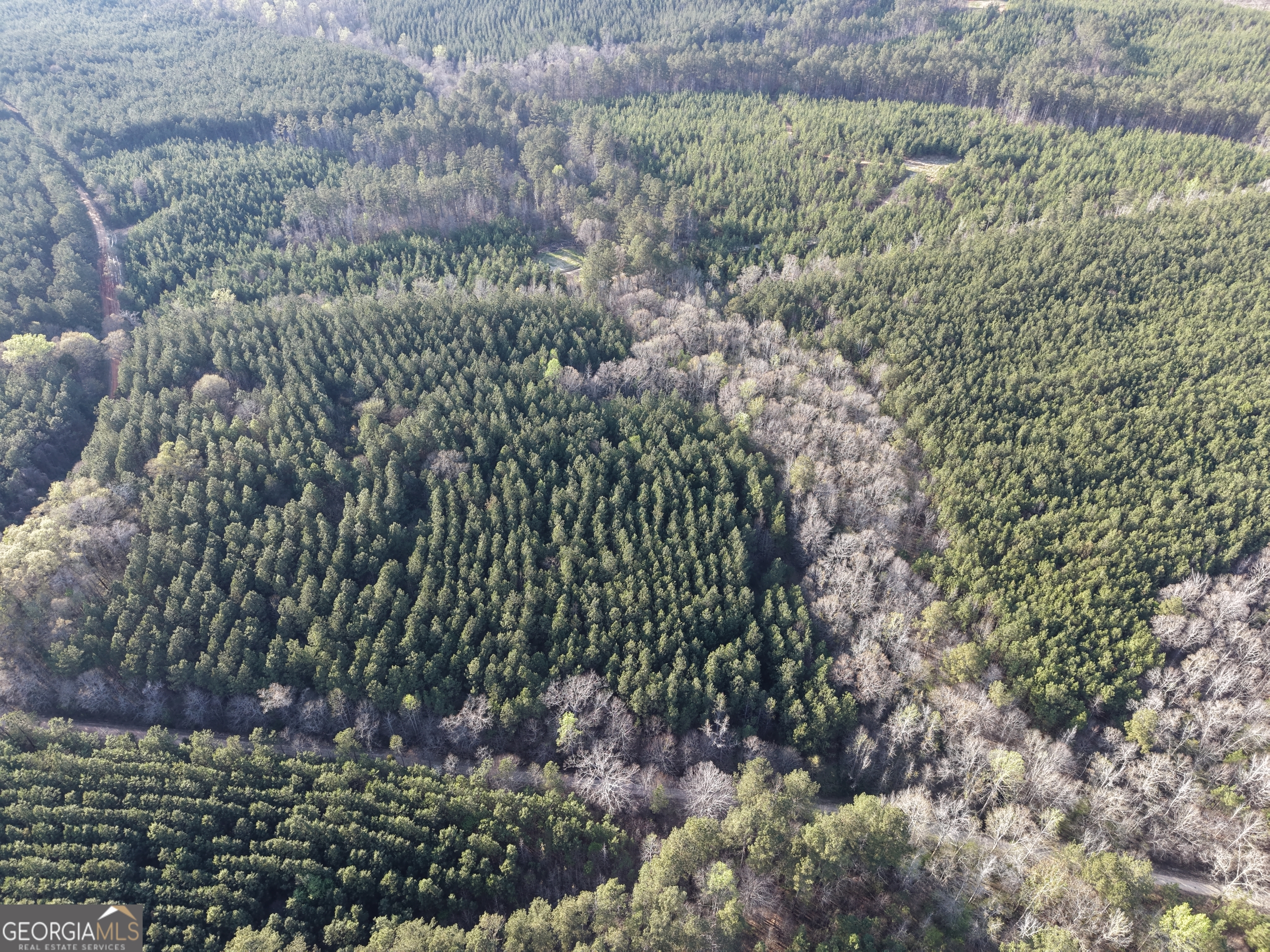 8 Hollis Norman Road Tignall, GA 30668 - Photo 32 of 36