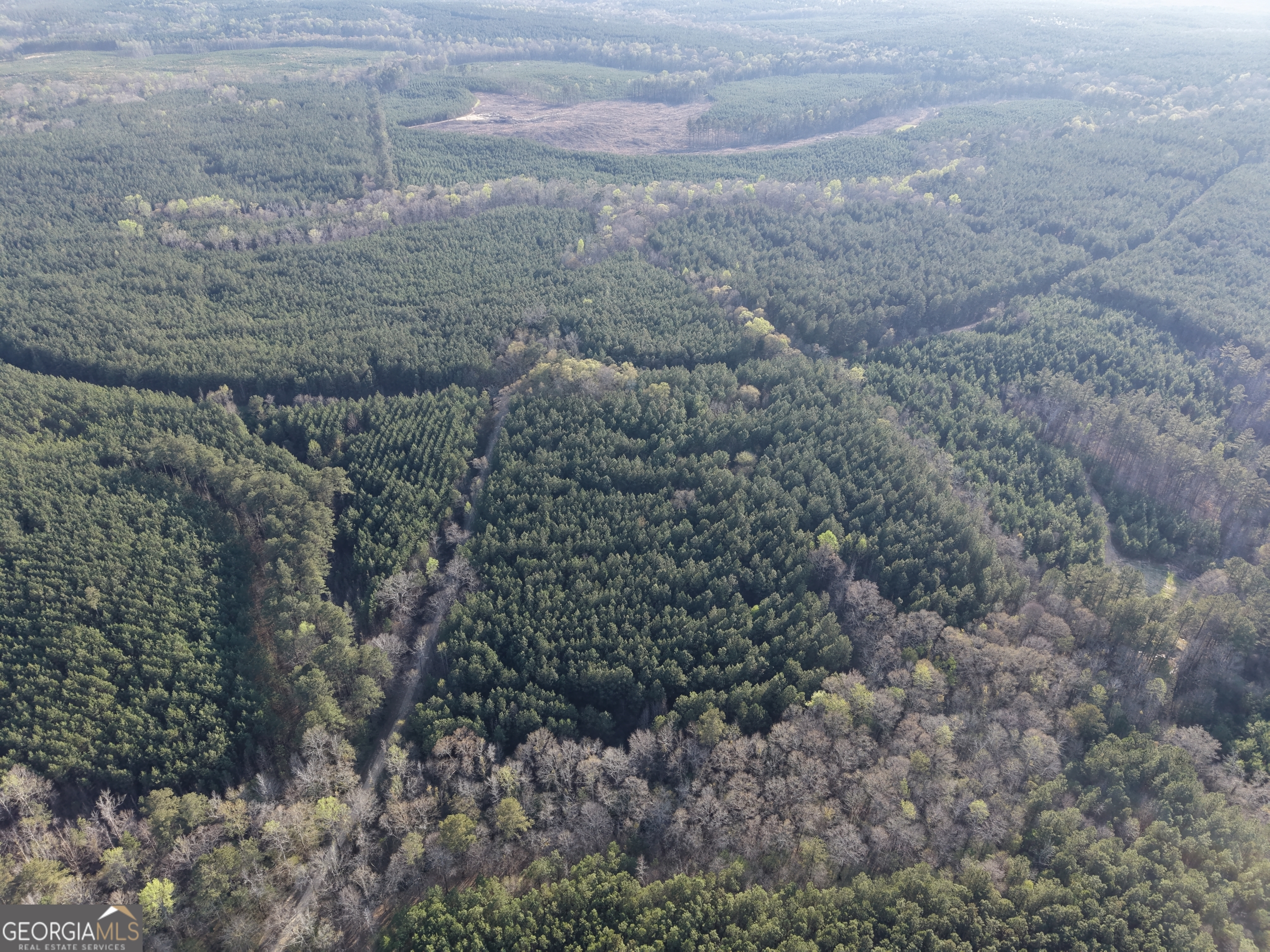 8 Hollis Norman Road Tignall, GA 30668 - Photo 33 of 36