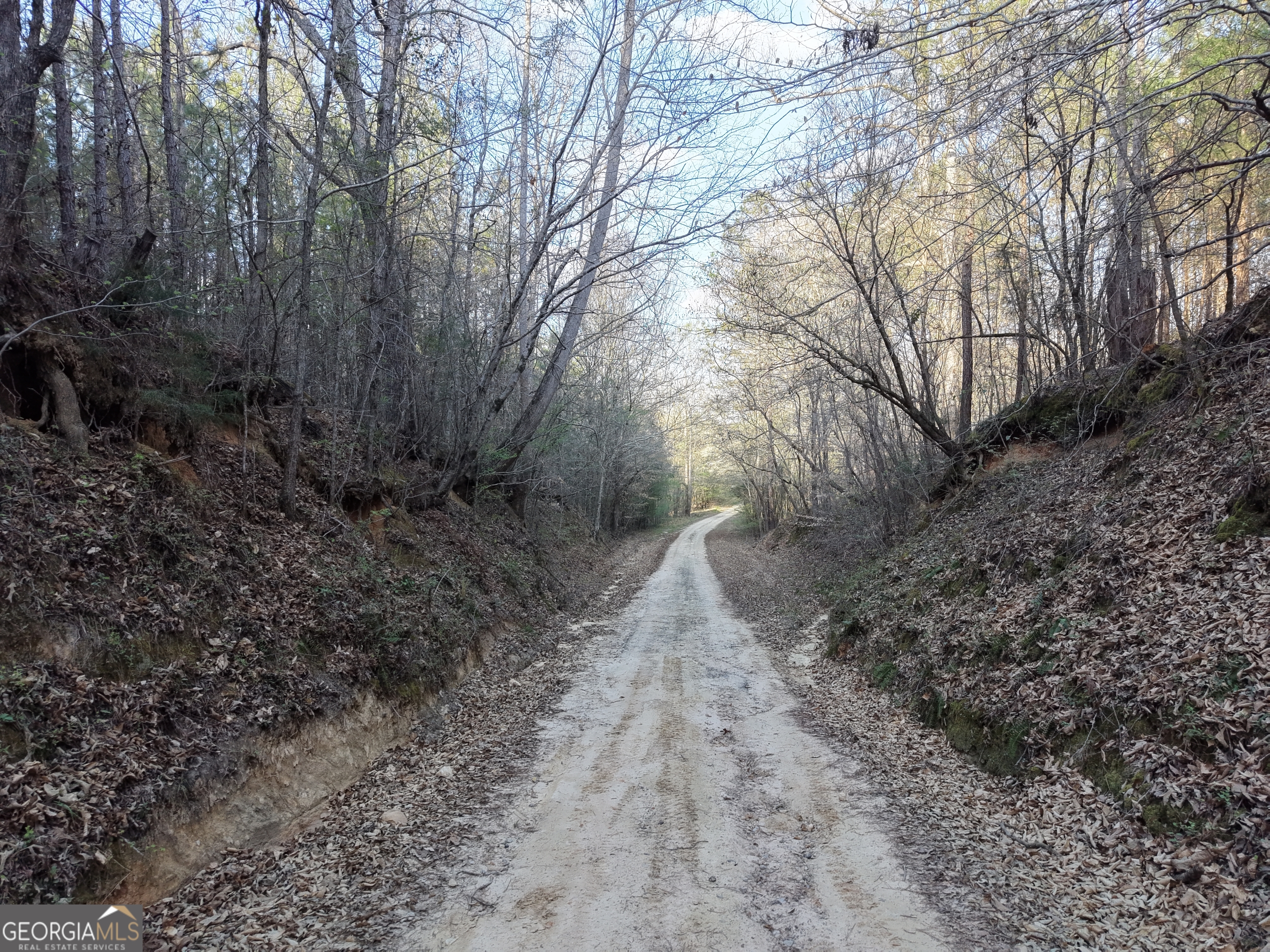 8 Hollis Norman Road Tignall, GA 30668 - Photo 35 of 36