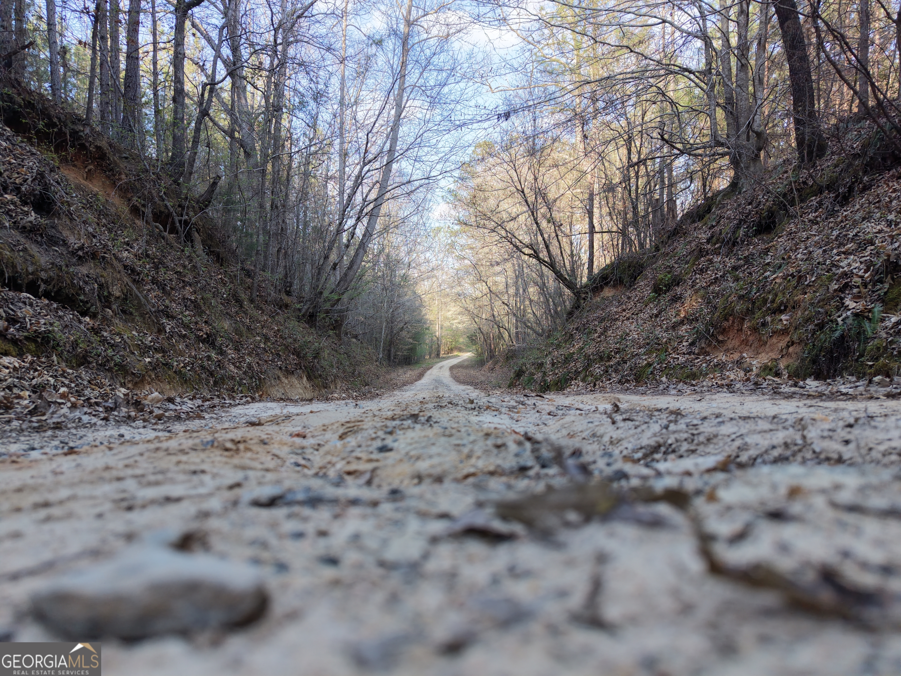 8 Hollis Norman Road Tignall, GA 30668 - Photo 36 of 36