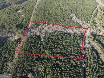 8 Hollis Norman Road Tignall, GA 30668 - Photo 4 of 36