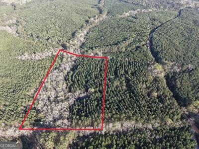 8 Hollis Norman Road Tignall, GA 30668 - Photo 5 of 36