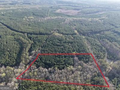 8 Hollis Norman Road Tignall, GA 30668 - Photo 6 of 36