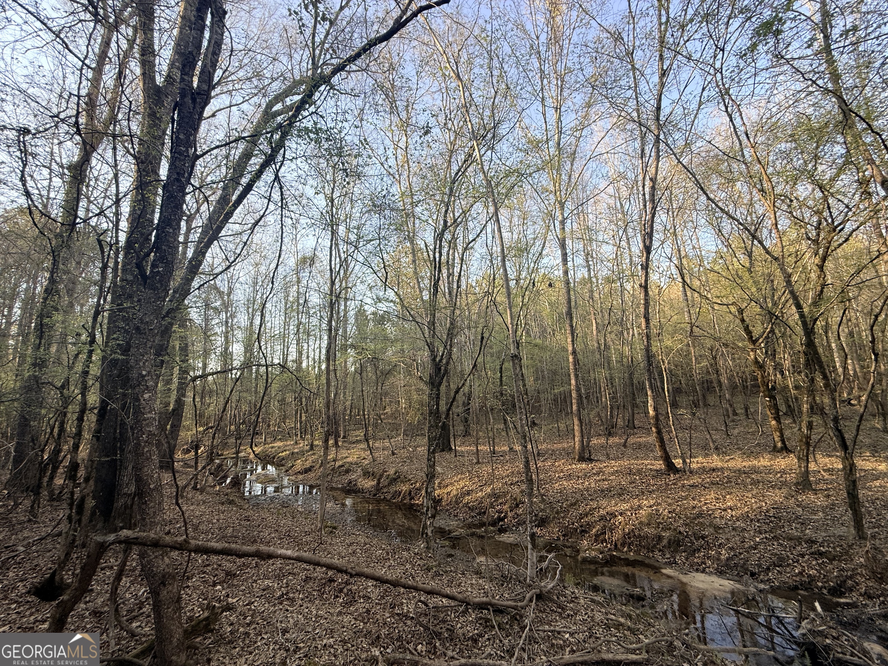 8 Hollis Norman Road Tignall, GA 30668 - Photo 7 of 36