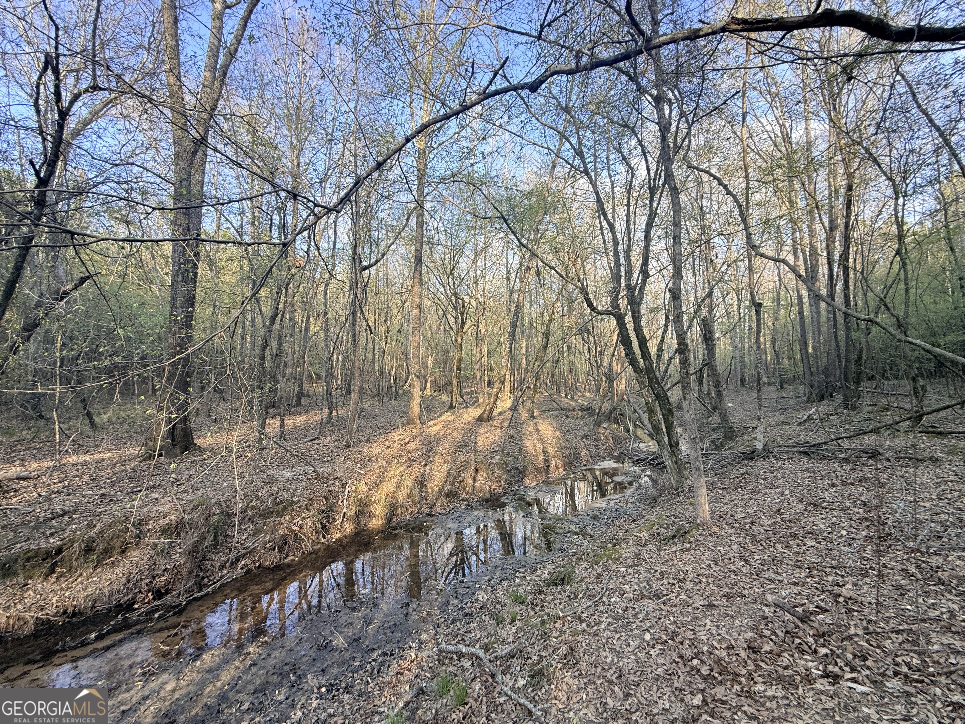 8 Hollis Norman Road Tignall, GA 30668 - Photo 8 of 36