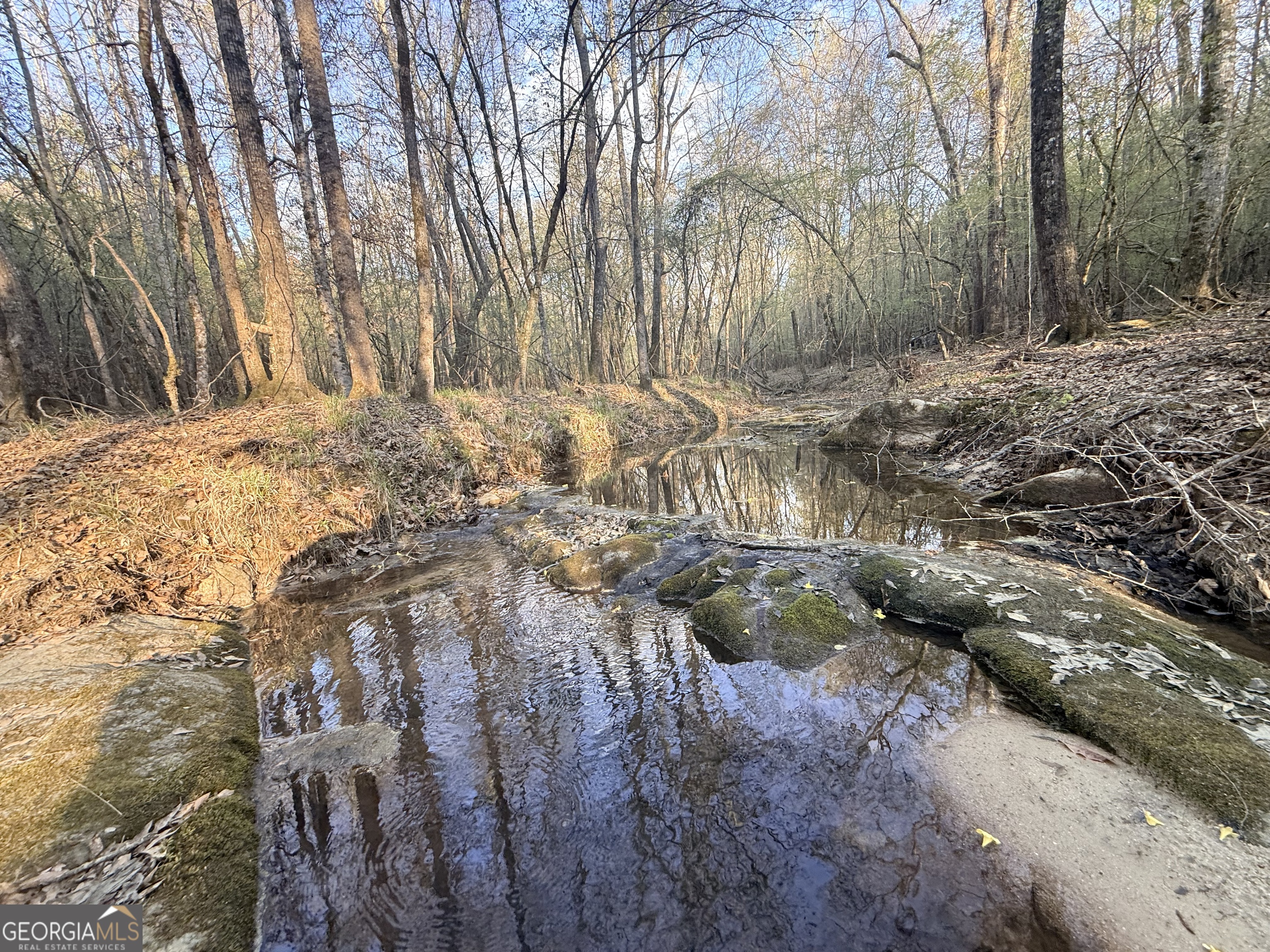 8 Hollis Norman Road Tignall, GA 30668 - Photo 9 of 36