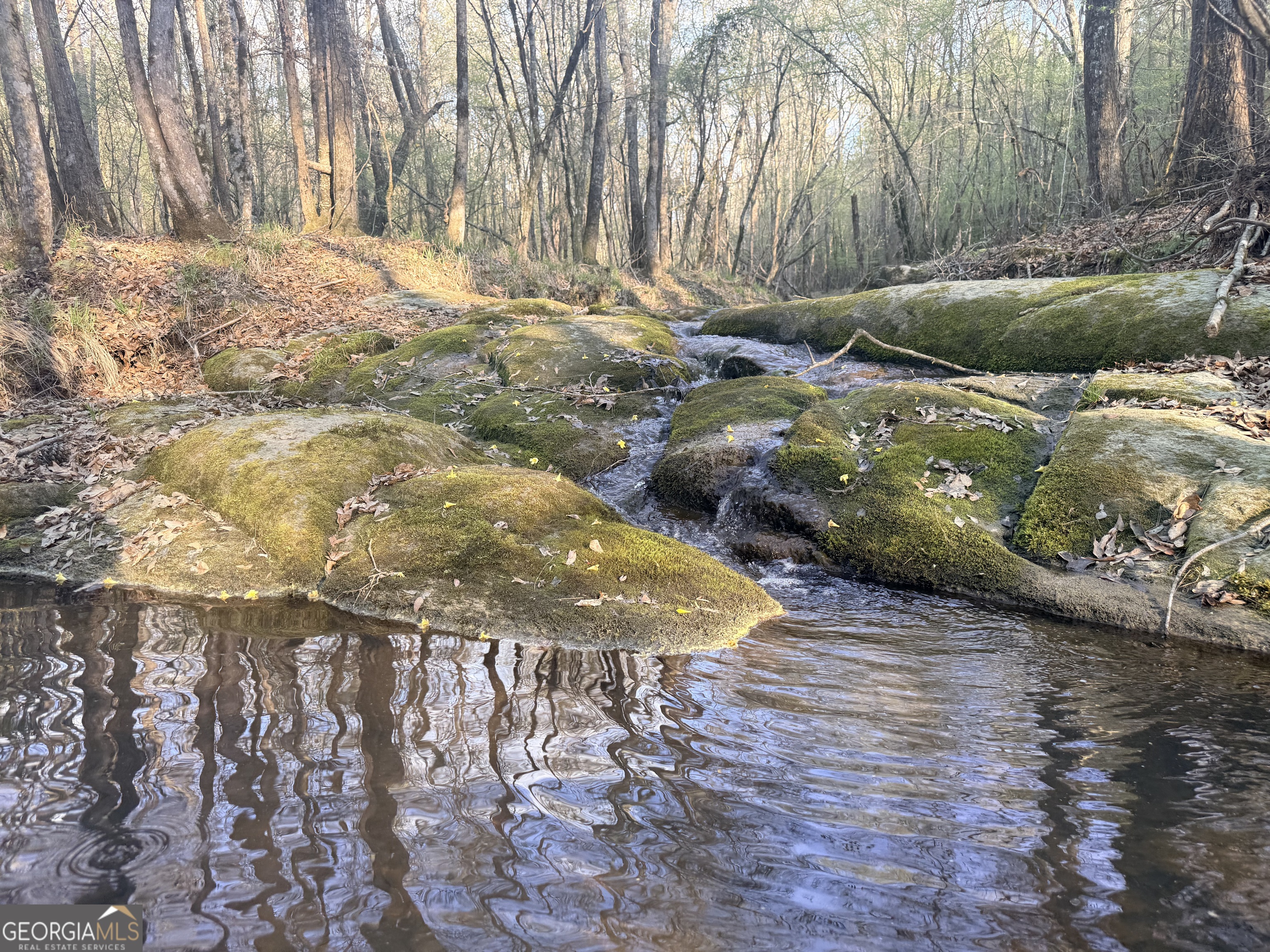 8 Hollis Norman Road Tignall, GA 30668 - Photo 10 of 36