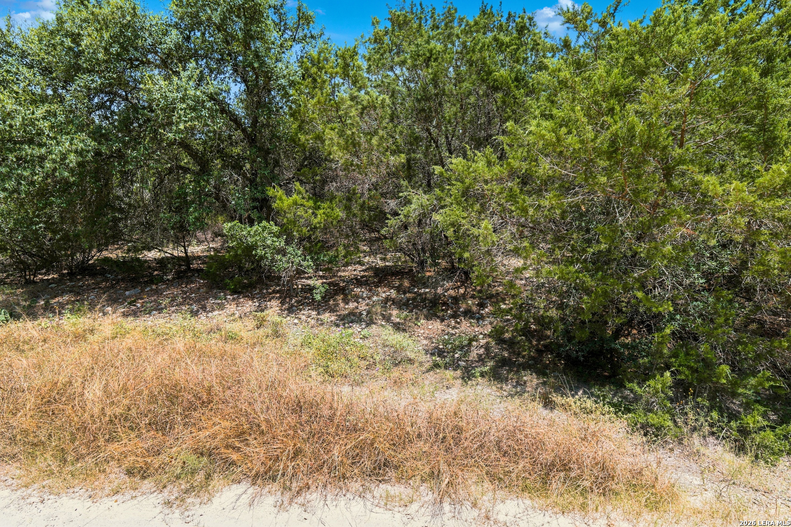 136 Angus Trail Spring Branch, TX 78070 - Photo 17 of 20 Gallery Image 17
