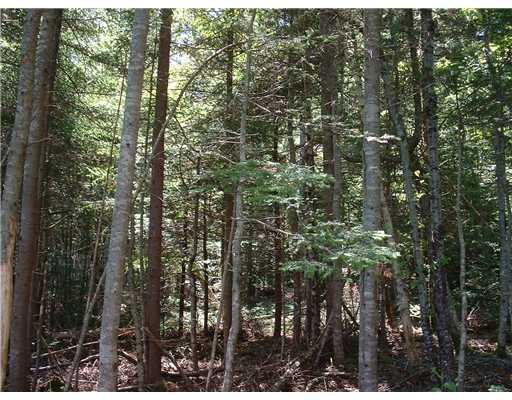 Lot 4 South Ocean Road Machiasport, ME 04655 - Photo 13 of 14 Other.
