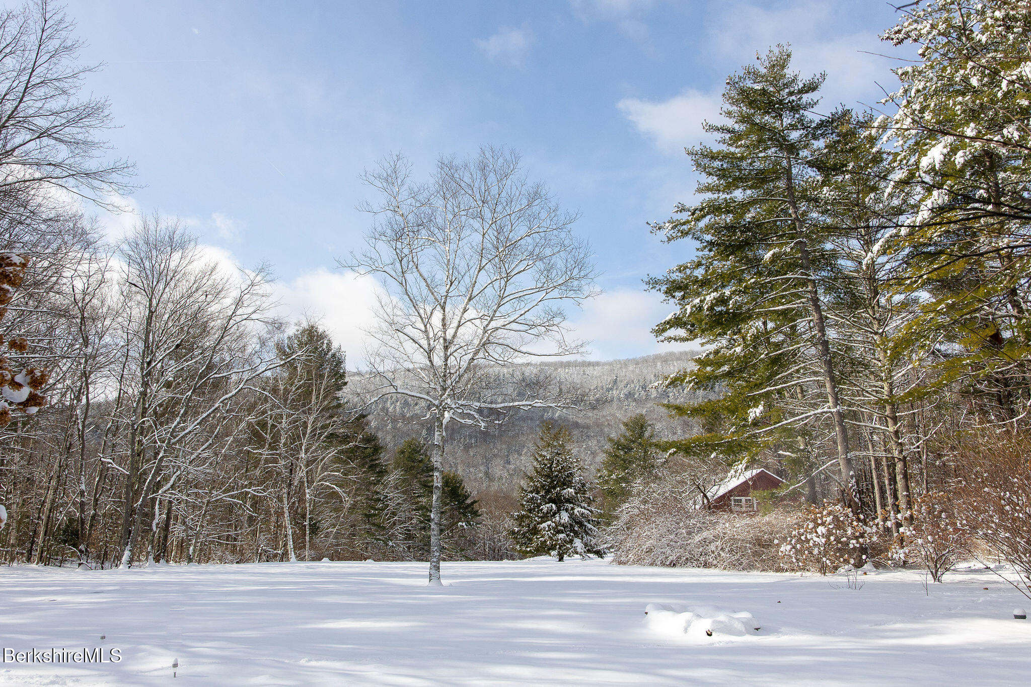 14 Old Tree Farm Road Stockbridge, MA 01266 - Photo 31 of 56 a view of a yard