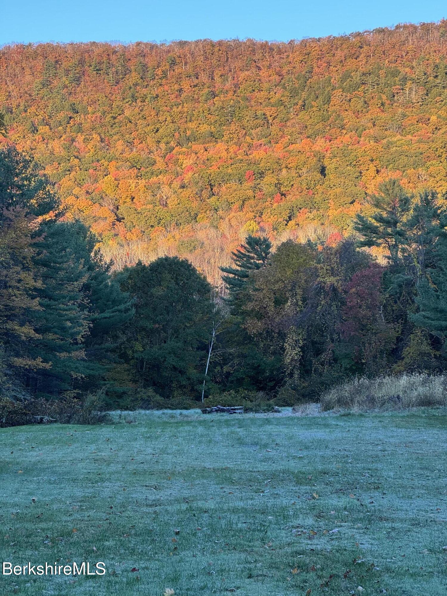 14 Old Tree Farm Road Stockbridge, MA 01266 - Photo 56 of 56 a view of a field of mountains and tree in the background